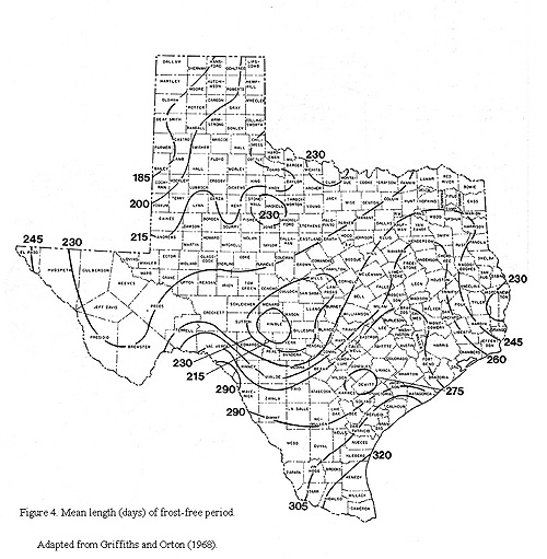 BIO 373L Field Biology